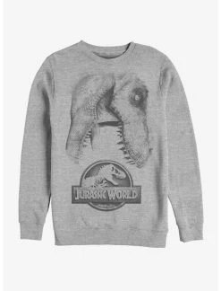 Null Jurassic World Large Rex Sweatshirt